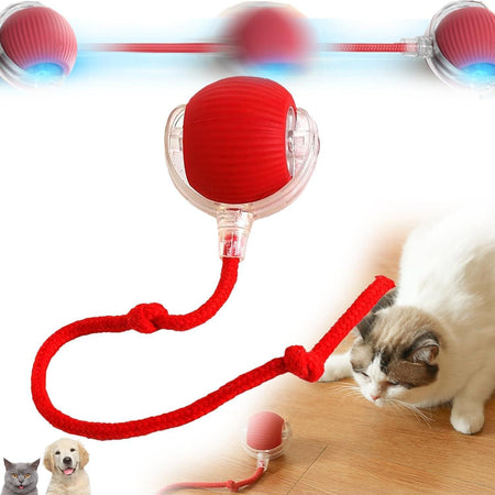 Viral Rolling Ball, Interactive Cat Ball Toy