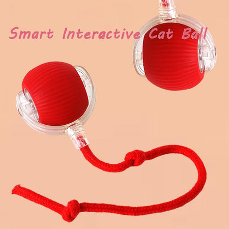 Viral Rolling Ball, Interactive Cat Ball Toy